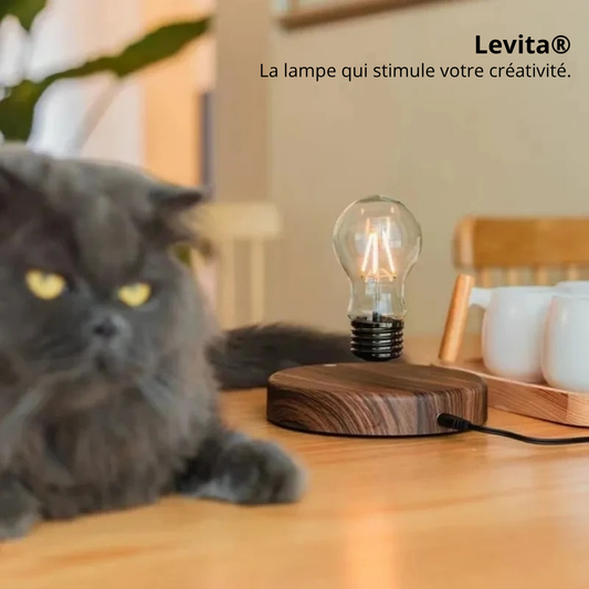 Levita